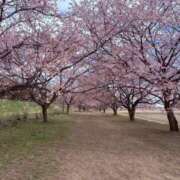 花芽うるは(かがうるは） こんばんは！うるはです！ 五十路マダムエクスプレス厚木店(カサブランカグループ)