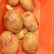 ヒメ日記 2026/02/09 15:40 投稿 みつる 大久保おかあちゃんの乳クリ