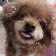 ヒメ日記 2026/02/01 15:58 投稿 ひより ジャパンクラブ富士