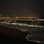 ヒメ日記 2026/02/11 05:38 投稿 ひより ジャパンクラブ富士