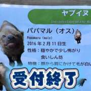 ヒメ日記 2026/02/21 18:42 投稿 ひより ジャパンクラブ富士