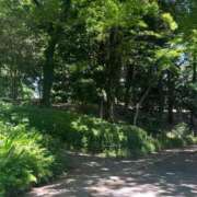 ヒメ日記 2026/02/24 11:52 投稿 ひより ジャパンクラブ富士