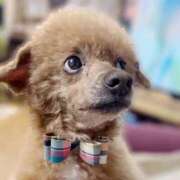 ヒメ日記 2026/02/27 09:12 投稿 ひより ジャパンクラブ富士