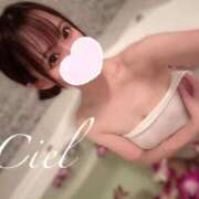 ヒメ日記 2026/02/01 10:48 投稿 しえる 京都BOOK MARK（ブックマーク）