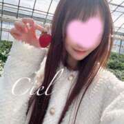 ヒメ日記 2026/03/05 18:43 投稿 しえる 京都BOOK MARK（ブックマーク）