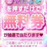 ヒメ日記 2026/03/17 17:08 投稿 しえる 京都BOOK MARK（ブックマーク）