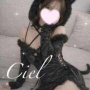 ヒメ日記 2026/03/24 11:48 投稿 しえる 京都BOOK MARK（ブックマーク）