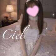 ヒメ日記 2026/04/03 10:28 投稿 しえる 京都BOOK MARK（ブックマーク）