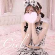 ヒメ日記 2026/04/12 10:28 投稿 しえる 京都BOOK MARK（ブックマーク）