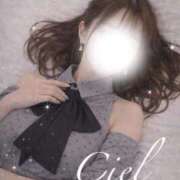 ヒメ日記 2026/04/13 10:48 投稿 しえる 京都BOOK MARK（ブックマーク）