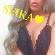 ヒメ日記 2026/03/11 17:49 投稿 せいか 綺麗なお姉様専門　町田リング4C（アンジェリークグループ）