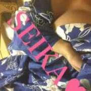 ヒメ日記 2026/04/14 20:02 投稿 せいか 綺麗なお姉様専門　町田リング4C（アンジェリークグループ）