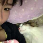 ひびき 冬は… 桃李（とうり）