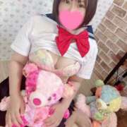 ヒメ日記 2026/01/19 06:34 投稿 ひびき 桃李（とうり）