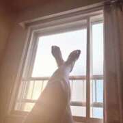 ヒメ日記 2026/04/15 20:54 投稿 あきな clubさくら京橋店