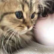 ヒメ日記 2026/02/22 20:26 投稿 まむ 君を舐めたくて学園