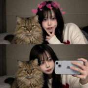 ヒメ日記 2026/03/12 21:46 投稿 まむ まだ舐めたくて学園渋谷校〜舐めたくてグループ〜