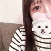 てんし 居るよ〜❣️ サマンサ(和歌山)