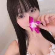 ヒメ日記 2026/02/11 03:46 投稿 えと 姫コレクション 高崎前橋店