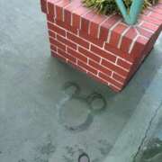 ヒメ日記 2026/02/13 19:19 投稿 いろは 船橋桃色の妻たち