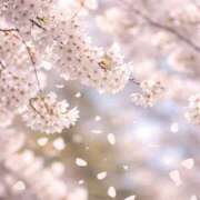 ヒメ日記 2026/03/01 19:39 投稿 いろは 船橋桃色の妻たち