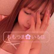 ヒメ日記 2026/04/14 12:59 投稿 いろは 船橋桃色の妻たち