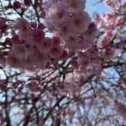 ヒメ日記 2026/03/06 08:35 投稿 かな ピーチガール