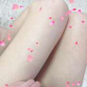 ヒメ日記 2026/03/23 13:56 投稿 坂口 華恋人(カレント)