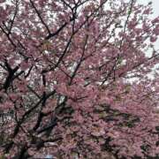 ヒメ日記 2026/02/25 18:12 投稿 新庄 あゆみ こあくまな熟女たち豊橋店（KOAKUMAグループ）