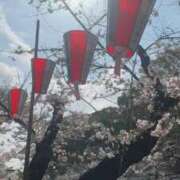 ヒメ日記 2026/04/01 13:21 投稿 りな 高級オナクラ　ひよこクラブ
