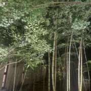 ヒメ日記 2026/07/23 21:31 投稿 りな 高級オナクラ　ひよこクラブ