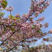 ヒメ日記 2026/03/11 12:43 投稿 のあ 大阪回春性感エステティーク谷九店