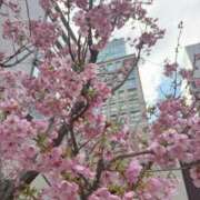 ヒメ日記 2026/03/26 16:02 投稿 のあ 大阪回春性感エステティーク谷九店