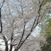 ヒメ日記 2026/04/05 08:52 投稿 のあ 大阪回春性感エステティーク谷九店