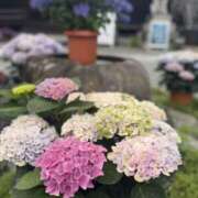 ヒメ日記 2026/06/30 12:02 投稿 のあ 大阪回春性感エステティーク谷九店