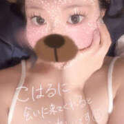 ヒメ日記 2026/04/01 18:05 投稿 こはる 谷町秘密倶楽部