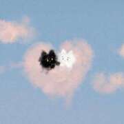 ヒメ日記 2026/02/09 21:46 投稿 ここな CUTE