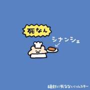 ヒメ日記 2026/08/23 10:31 投稿 ここな CUTE