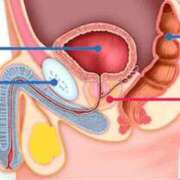 りょう ドライオーガズムって好きですか^?_?^？？ 天使のゆびさき 船橋店(カサブランカグループ)