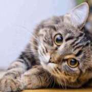 ヒメ日記 2026/01/16 08:06 投稿 りょう 天使のゆびさき 船橋店(カサブランカグループ)