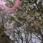 ヒメ日記 2026/04/10 09:28 投稿 りょう 天使のゆびさき 船橋店(カサブランカグループ)