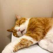 ヒメ日記 2026/01/10 15:05 投稿 さら★彼女感MAXの純情癒し系 Chloe鶯谷・上野店 S級素人清楚系デリヘル