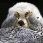 ヒメ日記 2026/01/15 06:02 投稿 さら★彼女感MAXの純情癒し系 Chloe鶯谷・上野店 S級素人清楚系デリヘル