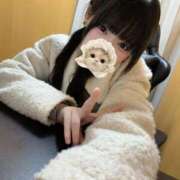 ヒメ日記 2026/01/15 00:17 投稿 うゆ IRIS(岐阜)