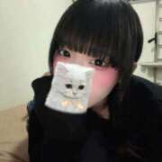 ヒメ日記 2026/01/16 00:43 投稿 うゆ IRIS(岐阜)