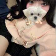 ヒメ日記 2026/01/17 19:05 投稿 うゆ IRIS(岐阜)