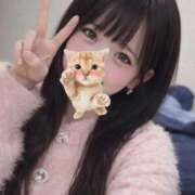 ヒメ日記 2026/01/19 04:15 投稿 うゆ IRIS(岐阜)