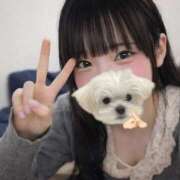 ヒメ日記 2026/01/20 02:11 投稿 うゆ IRIS(岐阜)