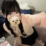 ヒメ日記 2026/01/20 23:16 投稿 うゆ IRIS(岐阜)