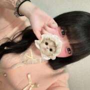 ヒメ日記 2026/01/17 23:43 投稿 うゆ IRIS一宮